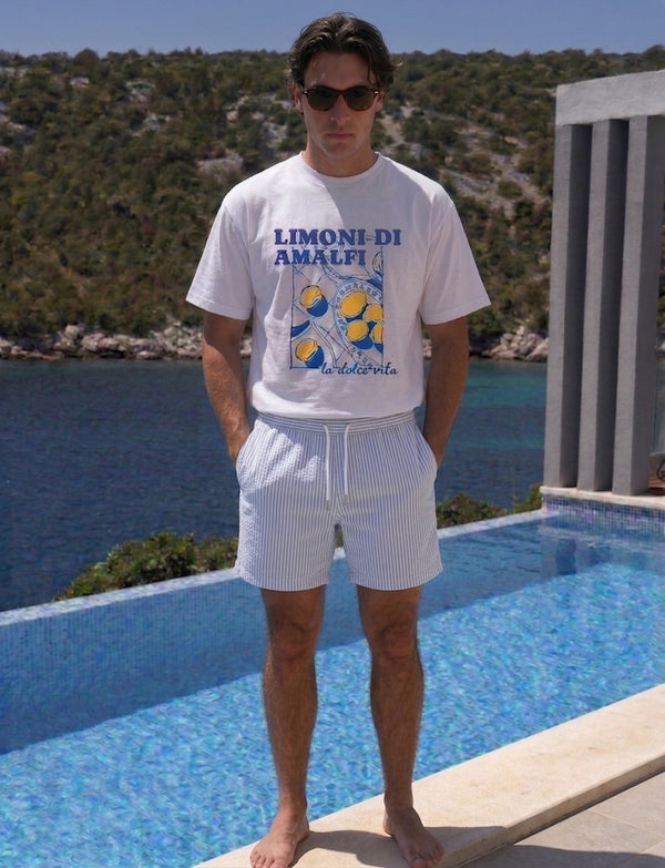 Portofino swim shorts